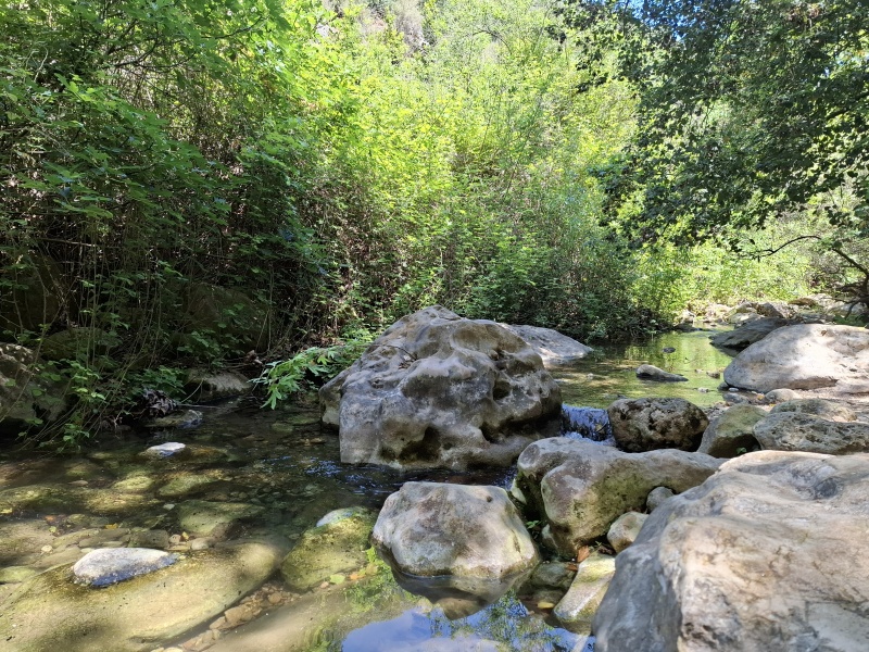 קובץ:2025-04-21T11 53 47.129057304905.jpg