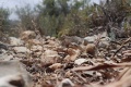 תמונה ממוזערת לגרסה מתאריך 15:29, 27 באפריל 2025