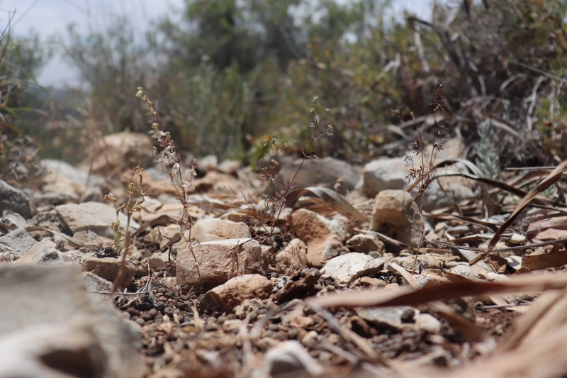 קובץ:2025-04-27T18 47 07.701382517623.jpg