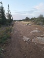 תמונה ממוזערת לגרסה מתאריך 15:55, 27 באפריל 2025