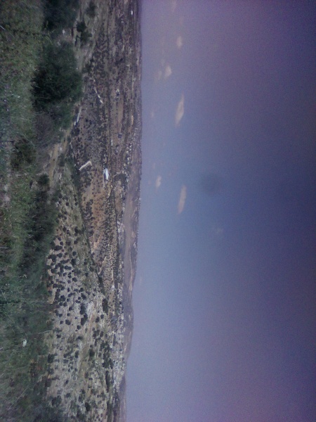 קובץ:2025-04-28T14 22 56.811101982287.jpg