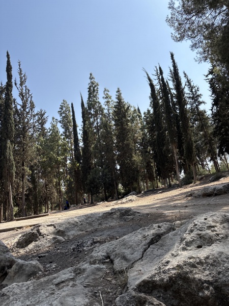 קובץ:2025-04-28T15 06 45.935485974112.jpg