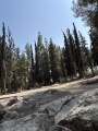 תמונה ממוזערת לגרסה מתאריך 11:46, 28 באפריל 2025