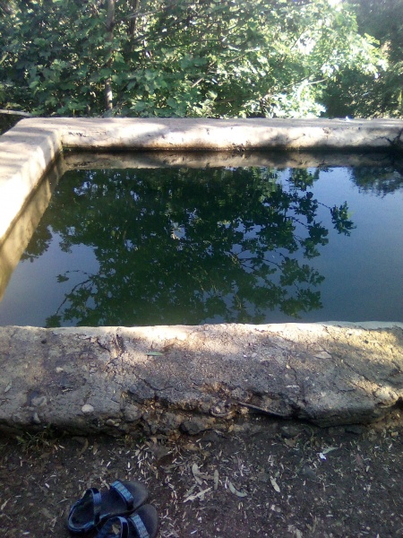 קובץ:2025-04-28T17 19 27.211806925229.jpg