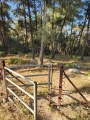 תמונה ממוזערת לגרסה מתאריך 14:03, 28 באפריל 2025