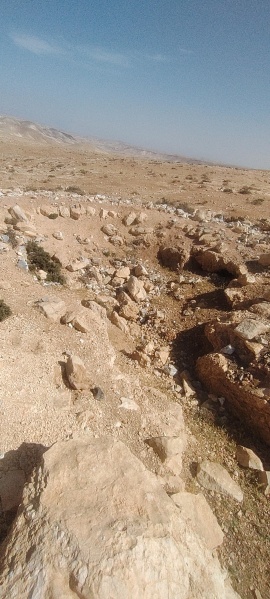 קובץ:2025-04-29T15 26 32.314953407231.jpg