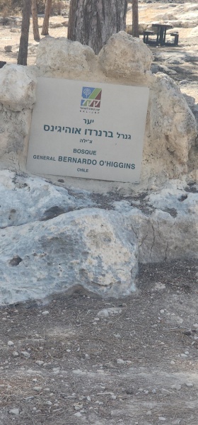 קובץ:2025-04-29T16 09 15.435915543765.jpg