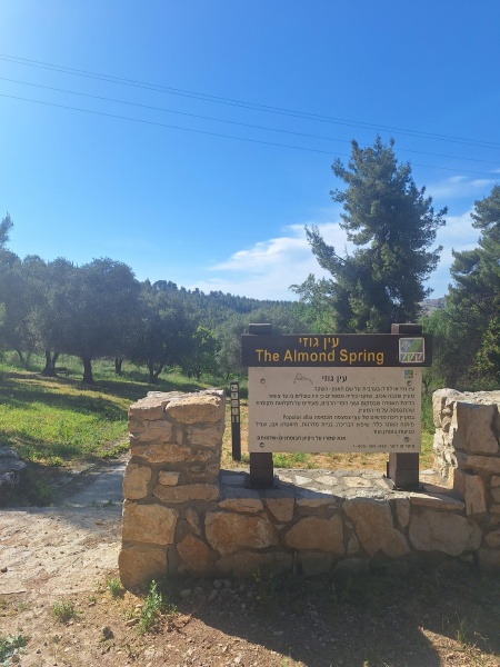 קובץ:2025-04-29T16 15 36.94847913187.jpg