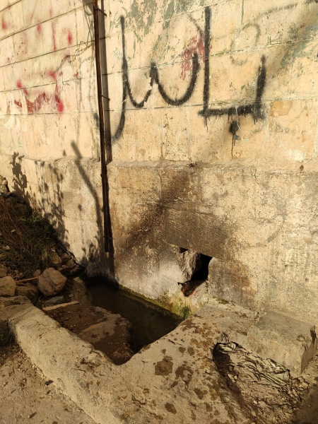 קובץ:2025-04-29T17 46 08.754834711161.jpg