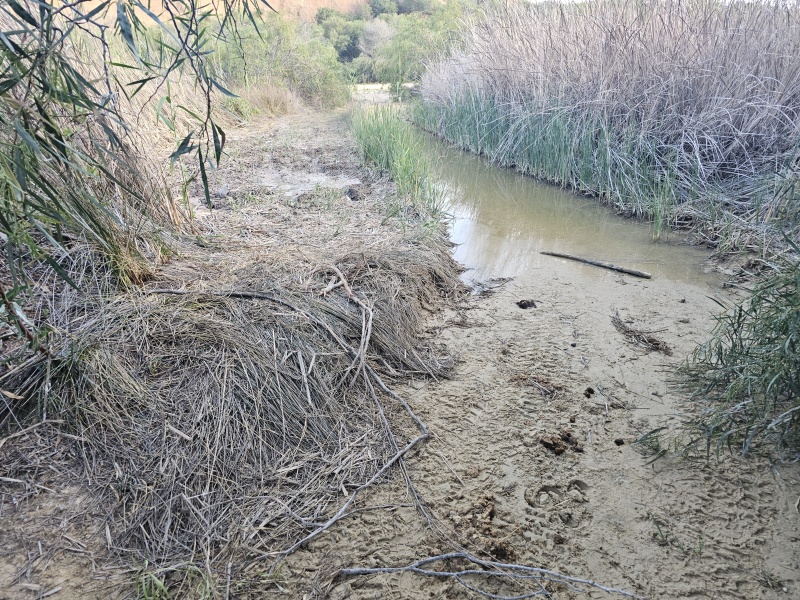 קובץ:2025-04-29T18 08 02.922678877495.jpg