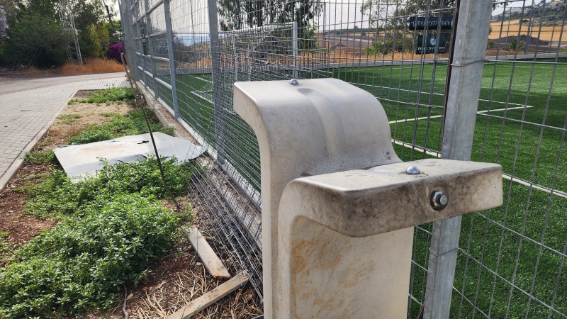 קובץ:2025-04-30T08 25 11.593662614122.jpg