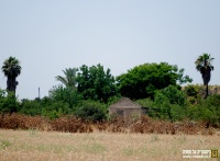 Beit nebala base train 07.jpg