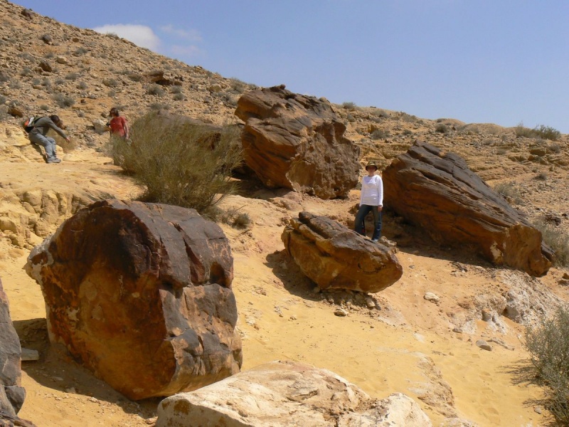 קובץ:Big Crater.jpg