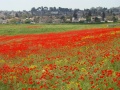 תמונה ממוזערת לגרסה מתאריך 11:02, 15 בספטמבר 2011