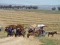 תמונה ממוזערת לגרסה מתאריך 15:01, 13 בספטמבר 2011