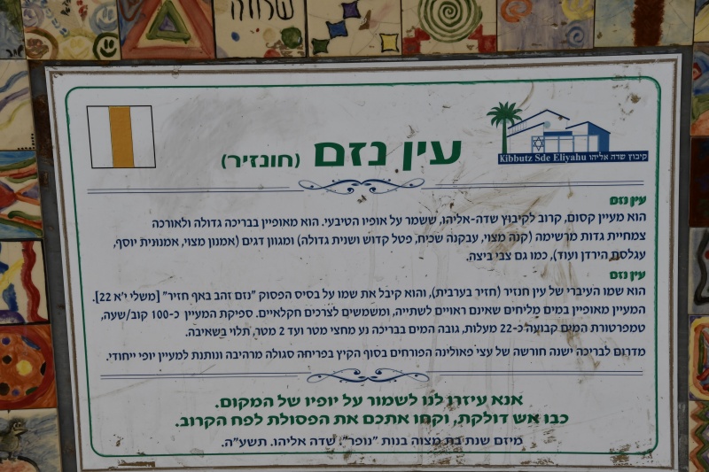 קובץ:DSC0499.JPG