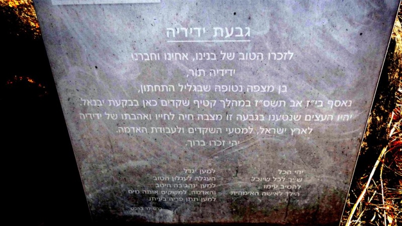 קובץ:DSC05244 (Large).JPG