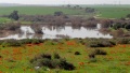 תמונה ממוזערת לגרסה מתאריך 15:21, 4 בפברואר 2014