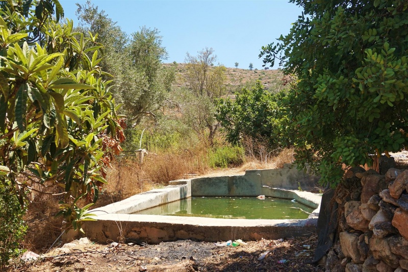 קובץ:DSC08365 (Large).JPG