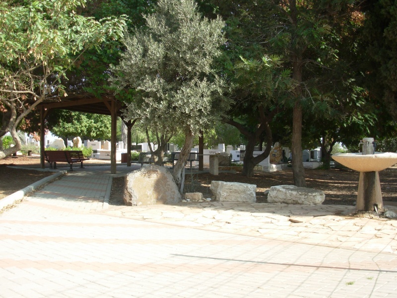 קובץ:DSCN0379.JPG