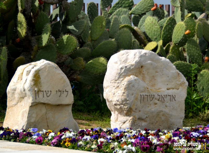 קובץ:DSC 06.jpg