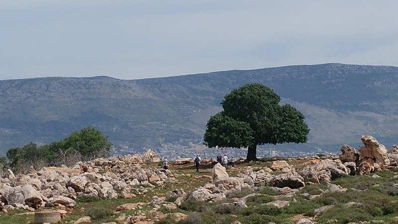 קובץ:Ella at ashchar.jpg