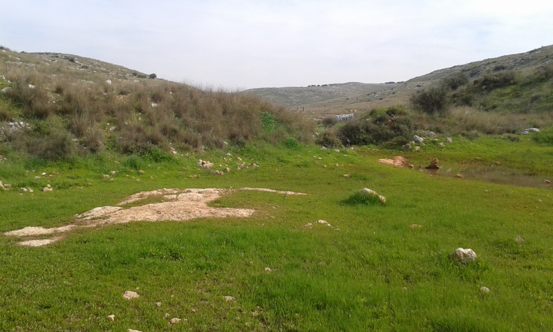 קובץ:Embankment in Wadi El Arub.jpg