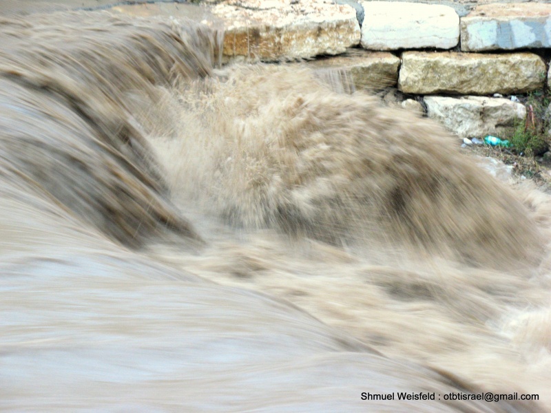 קובץ:Emeckrefaimflood2.JPG