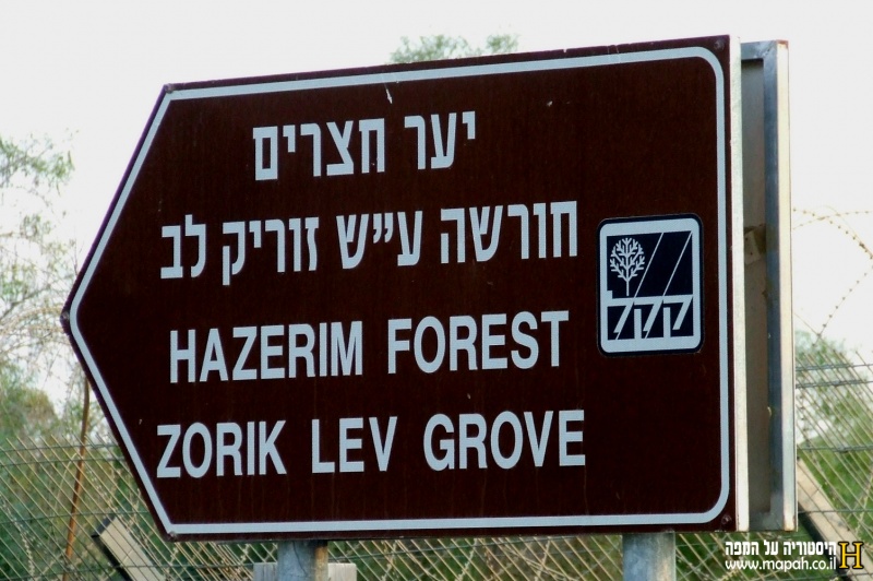 קובץ:Hazerimforest.jpg