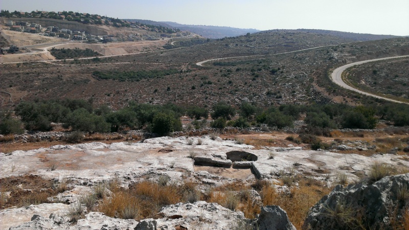 קובץ:IMAG0568.jpg