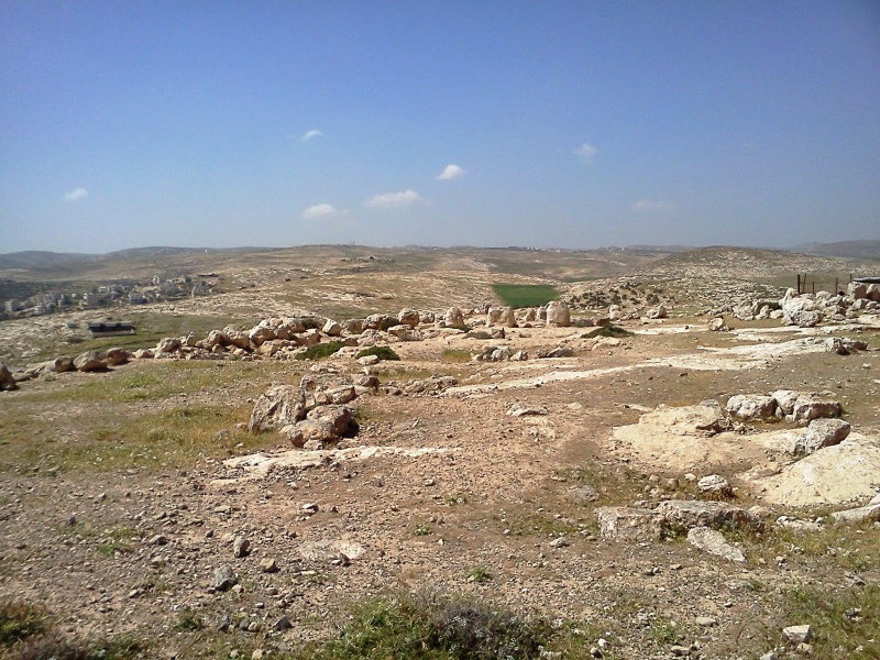 קובץ:IMG051.jpg