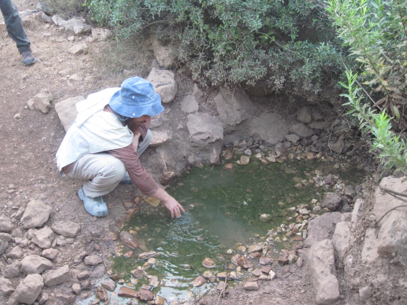 קובץ:IMG 1051.JPG