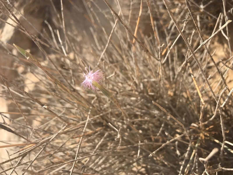 קובץ:IMG 1912.JPG