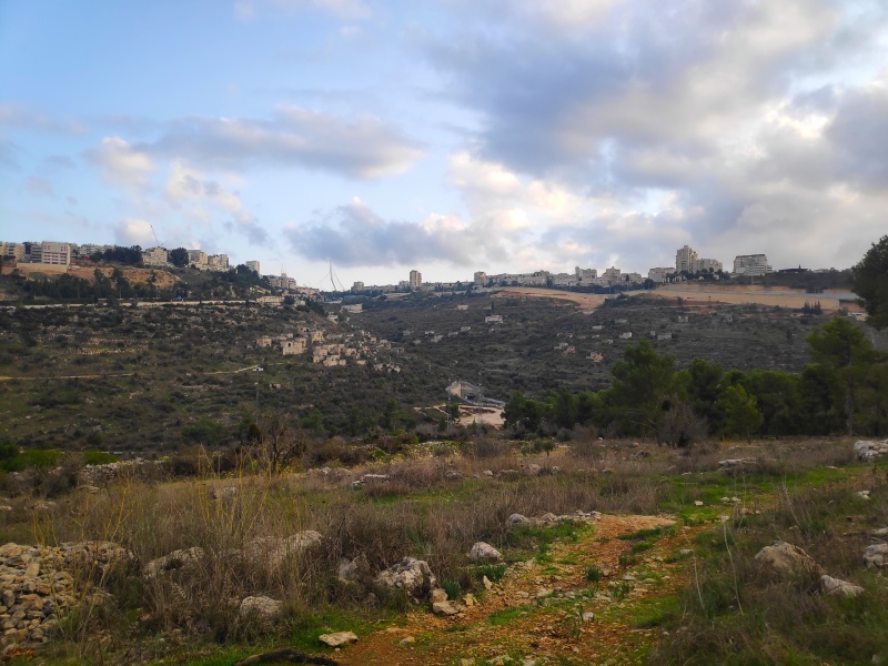 קובץ:IMG 20201122 213005.jpg