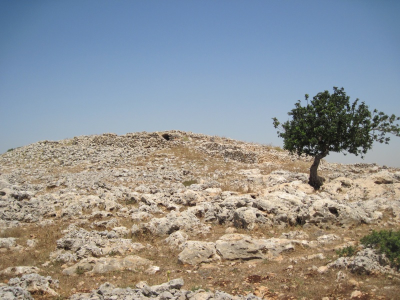 קובץ:IMG 2152.JPG