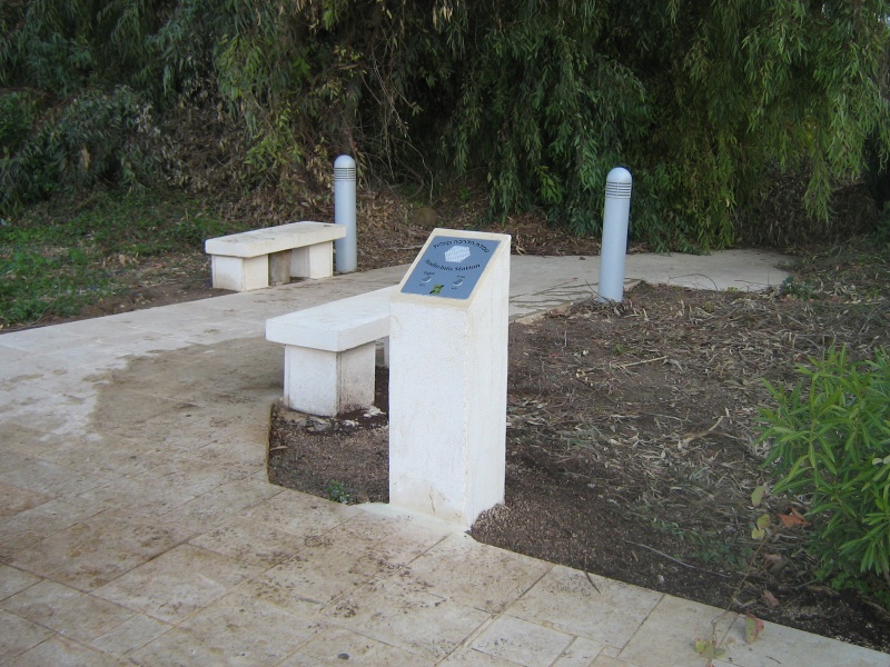 קובץ:IMG 3141.JPG