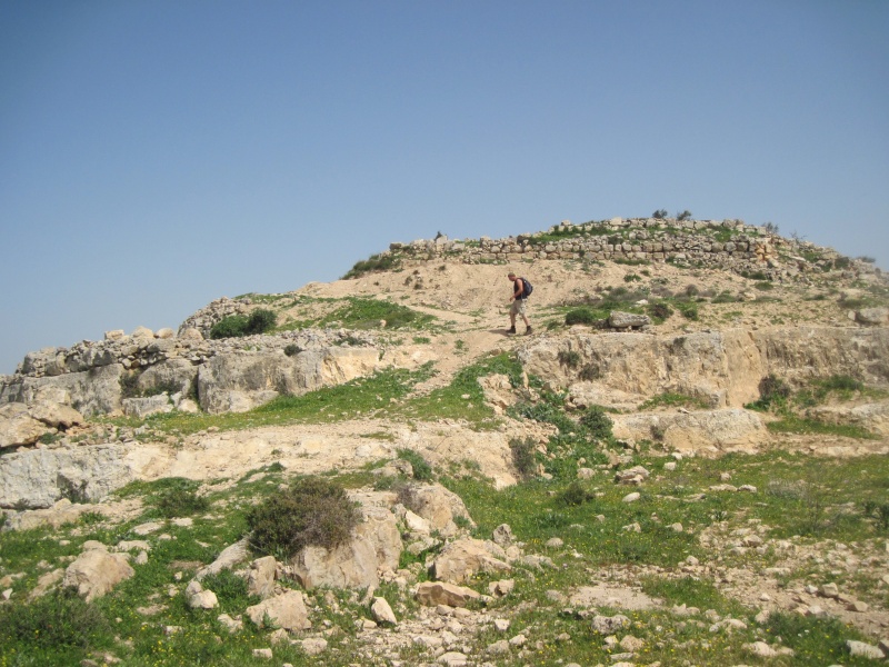 קובץ:IMG 3160.JPG