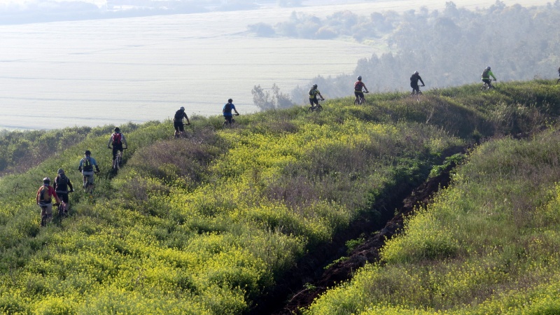 קובץ:IMG 3735.JPG