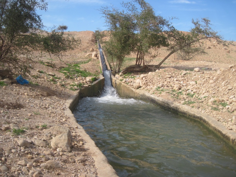 קובץ:IMG 5781.JPG