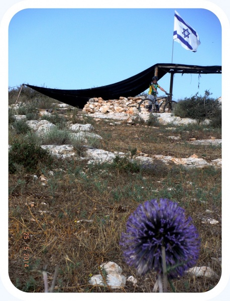 קובץ:Israel Flag.jpg