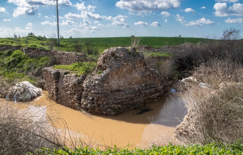 קובץ:Jusayr (11 of 20).jpg