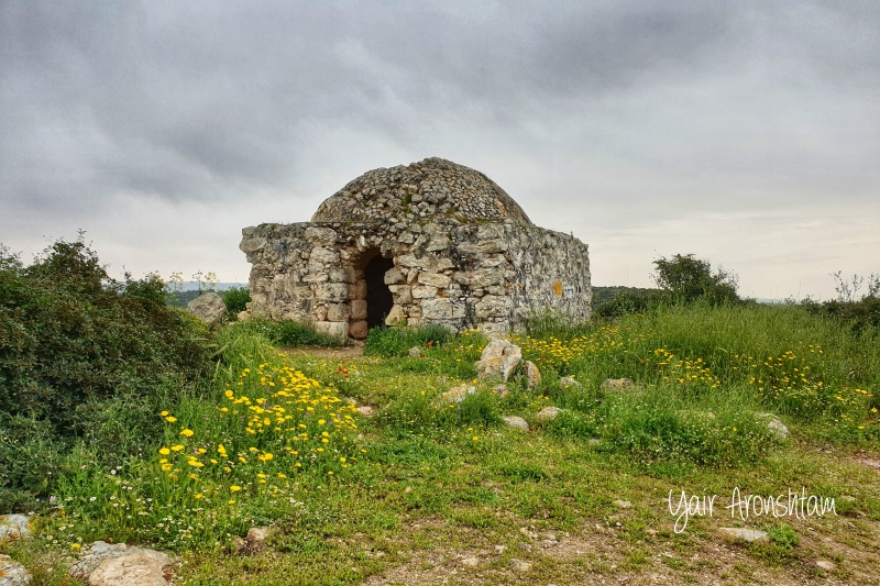 קובץ:Kever-hasheih.jpg