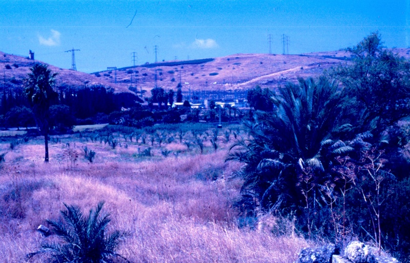 קובץ:Near kineret.jpg