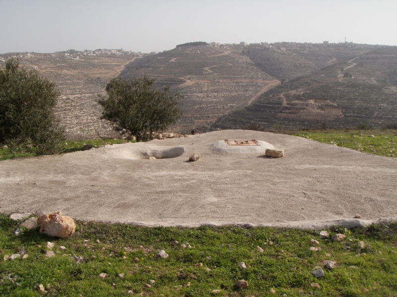 קובץ:P2240169.JPG