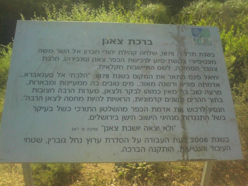 קובץ:Photo029.jpg