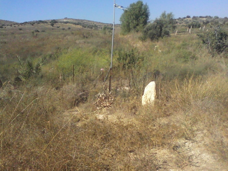 קובץ:Photo034.jpg