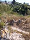 Remains 1.JPG