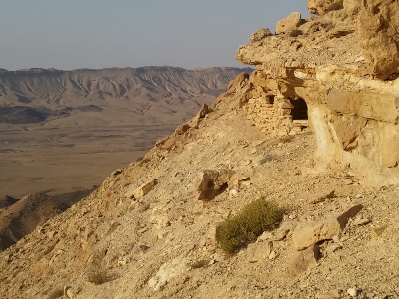 קובץ:SHELTER.jpg