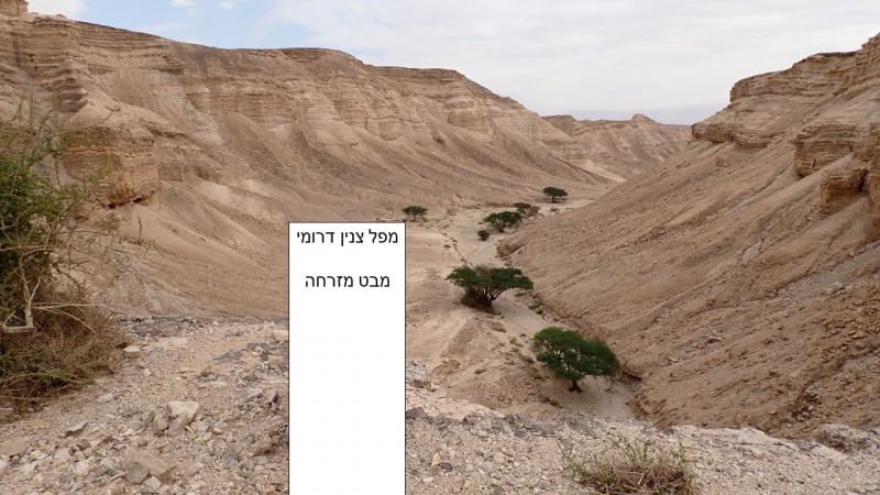 קובץ:TSNIN 03.jpg