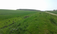 Train embankment towards Tel A-Sheria.jpg